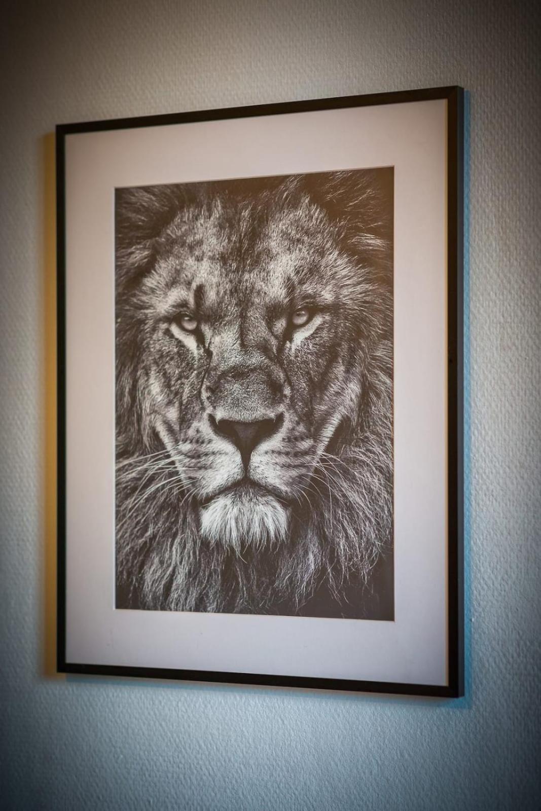 Appartement Le Savane A Rouen